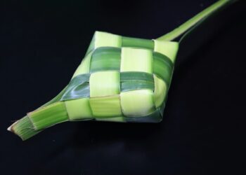 Ketupat Lebaran - Freepik/ Mufid Majnun