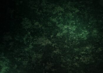 Ilustrasi warna loreng identik TNI (Barak TNI dan Strategi Dedi Mulyadi) - Freepik/ denamorado