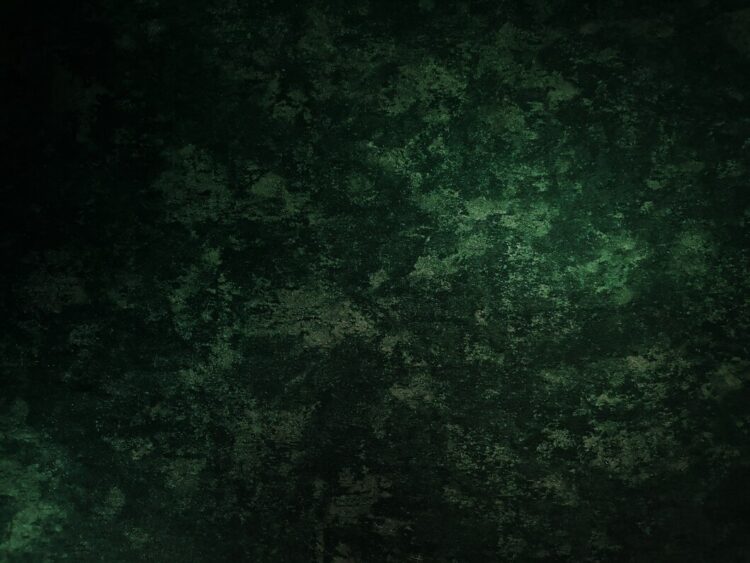 Ilustrasi warna loreng identik TNI (Barak TNI dan Strategi Dedi Mulyadi) - Freepik/ denamorado