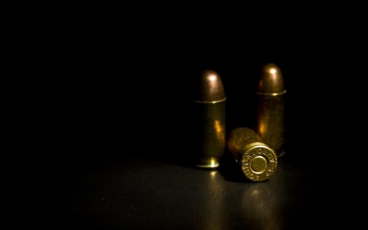 Ilustrasi Amunisi - Pixabay