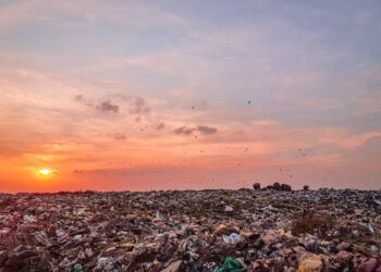 Ilustrasi Sampah - PIxabay/Karuvadgraphy