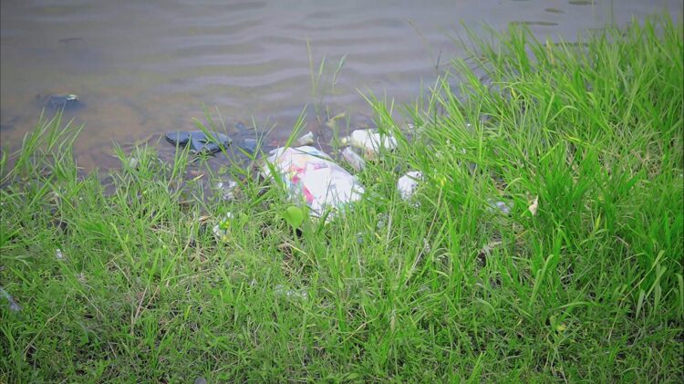 Luka di Wajah Situ wanayasa Purwakarta