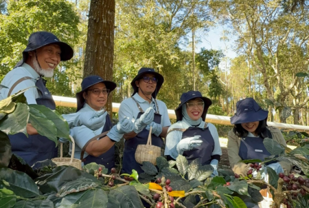 PT Pertamina Geothermal Energy Tbk (PGE) bersama para petani kopi Kamojang menggelar Panen Bersama dan Ekspor Perdana Kopi Geotermal Kamojang, Jawa Barat. (Foto: PT.PG)