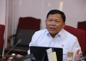 Bahas giant sea wall Prabowo panggil Wakil Menteri Kelautan dan Perikanan, Didit Herdiawan Ashaf - Dok. dit/HUMAS MENPANRB