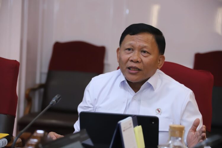 Bahas giant sea wall Prabowo panggil Wakil Menteri Kelautan dan Perikanan, Didit Herdiawan Ashaf - Dok. dit/HUMAS MENPANRB